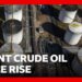 Oil prices volatile as US President Donald Trump talks up Iran negotiations | BBC News