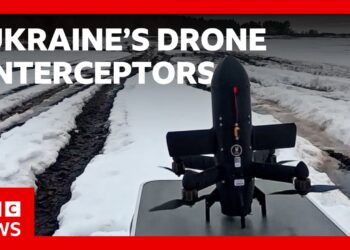 Ukrainian anti-drone ‘Bullet’ that could help defend Gulf | BBC News