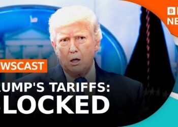 Trump’s Tariffs blocked: what happens now? | BBC Newscast