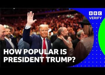 How popular is US President Donald Trump? | BBC News