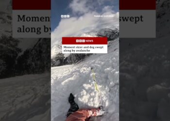 Skier and dog swept along by avalanche in Andorra. #Andorra #Skiing #BBCNews