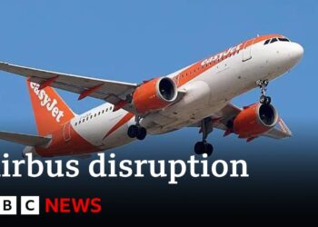 Airbus flights disrupted for urgent software update | BBC News