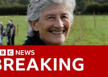 Catherine Connolly set to win Irish presidential election as rival concedes | BBC News