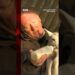 BBC reporter tries and fails to feed newborn lamb on live tv. #BBC #BBCNews