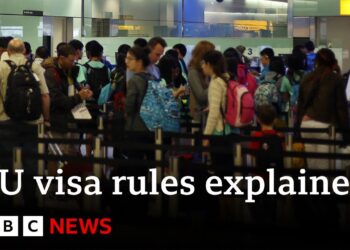New EU visa rules to be introduced | BBC News