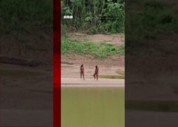 Rare sighting of uncontacted indigenous people in Peru. #Tribes #Peru #BBCNews