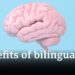 Is being bilingual good for you brain? | BBC Ideas