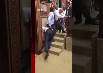 Maldives parliament descends into violence between politicians. #Maldives #Shorts #BBCNews