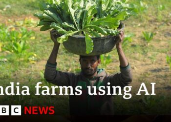 Artificial intelligence comes to farming in India | BBC News