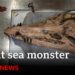 Colossal sea monster unearthed in UK – BBC News