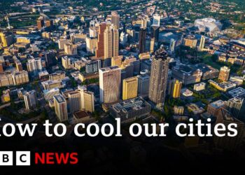 How to combat extreme heat in urban areas | Future Earth | BBC News