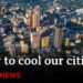 How to combat extreme heat in urban areas | Future Earth | BBC News