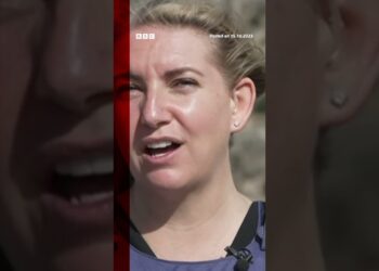 Anna Foster was reporting live from the Israel-Lebanon border. #Israel #Shorts #BBCNews