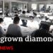 Inside India’s lab-grown diamond industry – BBC News