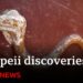 Pompeii: New discoveries as archaeologists begin biggest excavation in a generation – BBC News