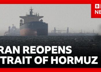 Iran declares strait of Hormuz open but few ships are passing through vital sea lane | BBC News