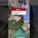 South Korea’s runaway wolf finally captured after nine-day search. #SouthKorea #Wolf #BBCNews
