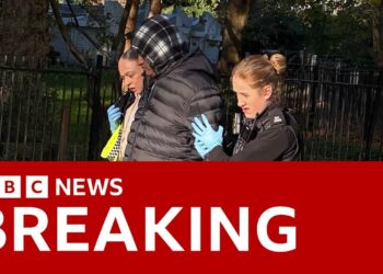 Migrant sex offender mistakenly released from prison arrested in London | BBC News