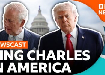 Decoding what the King said to Congress and how President Trump responded | BBC News