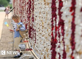 20,000 teddy bears highlight plight of missing Ukrainian children