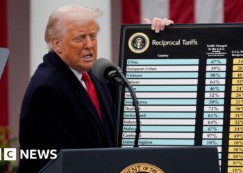 A year on: Four ways Trump's tariffs have changed the global economy