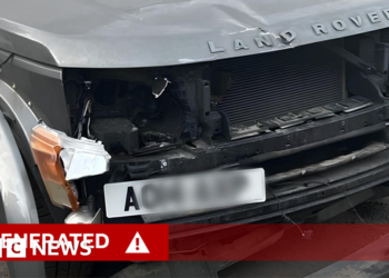 AI-generated images behind increase in insurance fraud