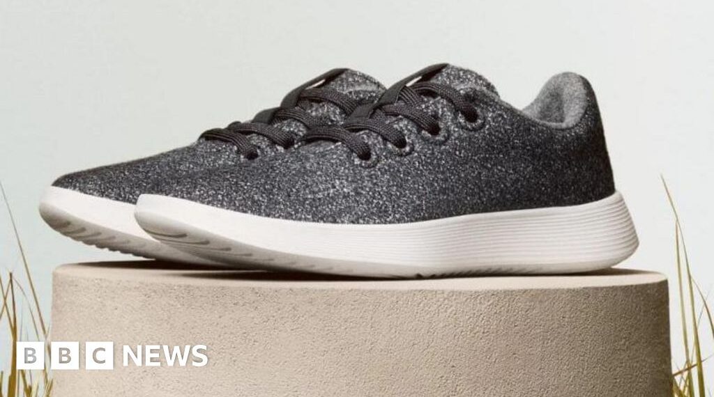 Allbirds shares soar 580% after pivot from shoes to AI