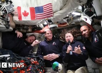 Artemis II crew describe far side of Moon