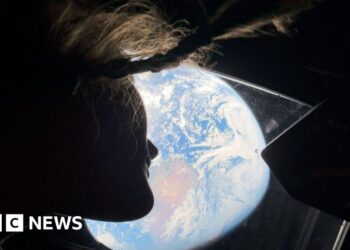 Artemis's stunning Moon pictures - science or holiday photos?