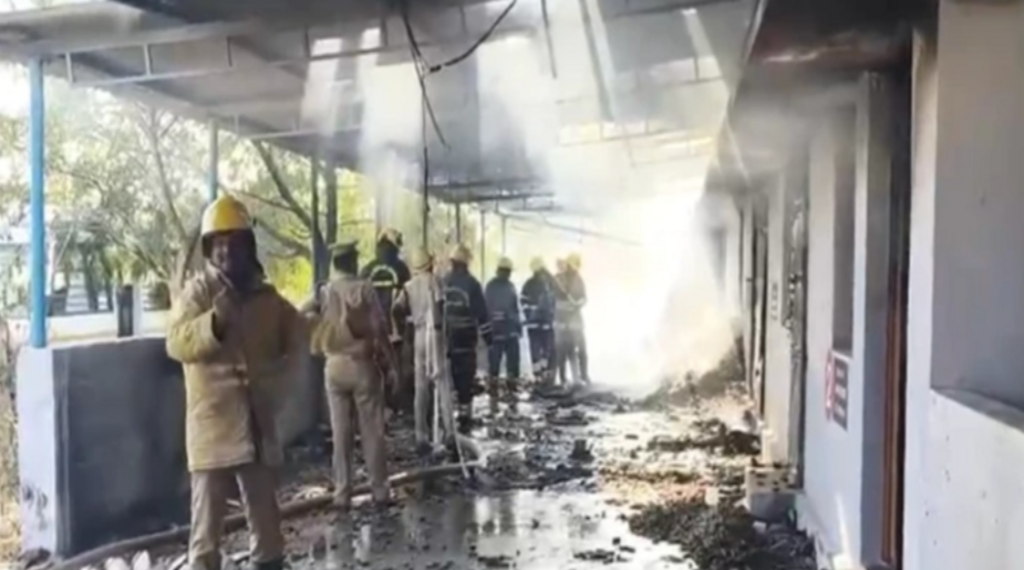 At least 25 killed in firecracker factory blast in India