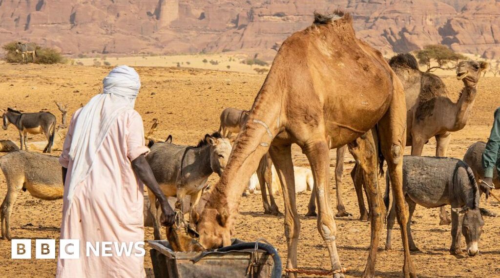 At least 42 killed in Chad after water well dispute escalates