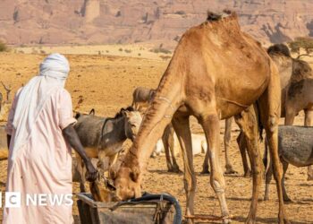 At least 42 killed in Chad after water well dispute escalates