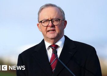 Australia to crack down on gambling ads after years of criticism