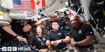 Back to Earth: What happens to the Artemis II astronauts now?