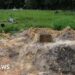 Bodies of 50 infants dumped at Trinidad graveyard