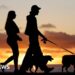 Brazil grants joint custody over pets in new law for separated couples