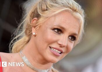 Britney Spears charged in California with driving under influence