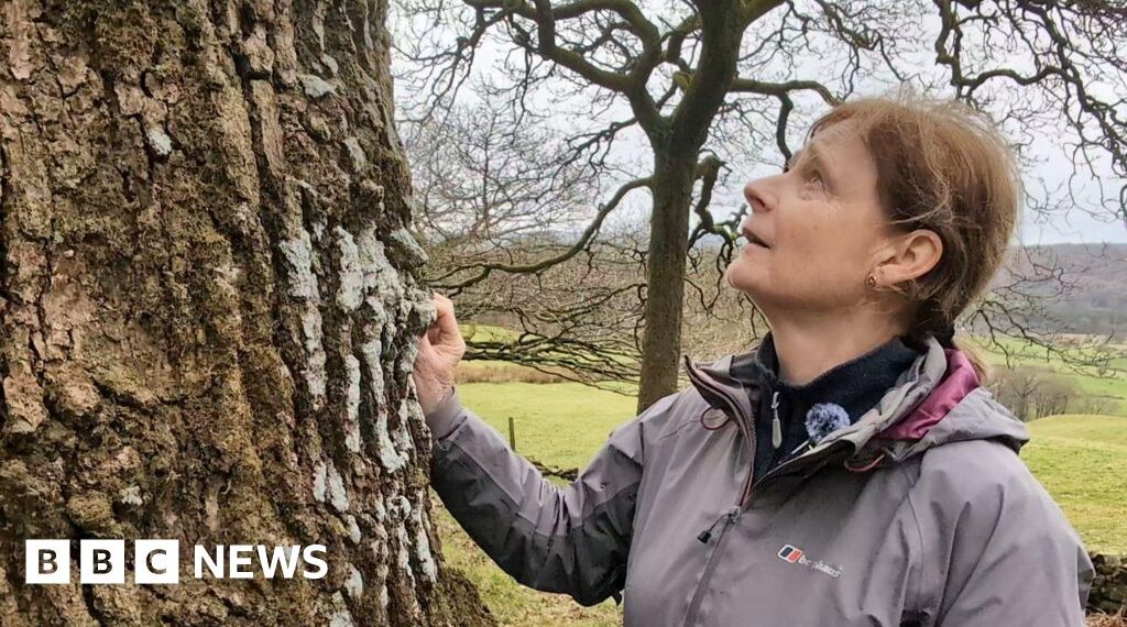 Campaigners hope to save rare rainforest habitat