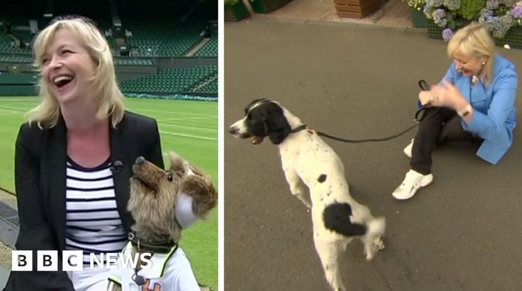 Carol Kirkwood's funniest moments on air