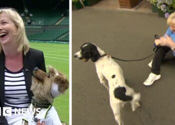 Carol Kirkwood's funniest moments on air