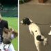 Carol Kirkwood's funniest moments on air
