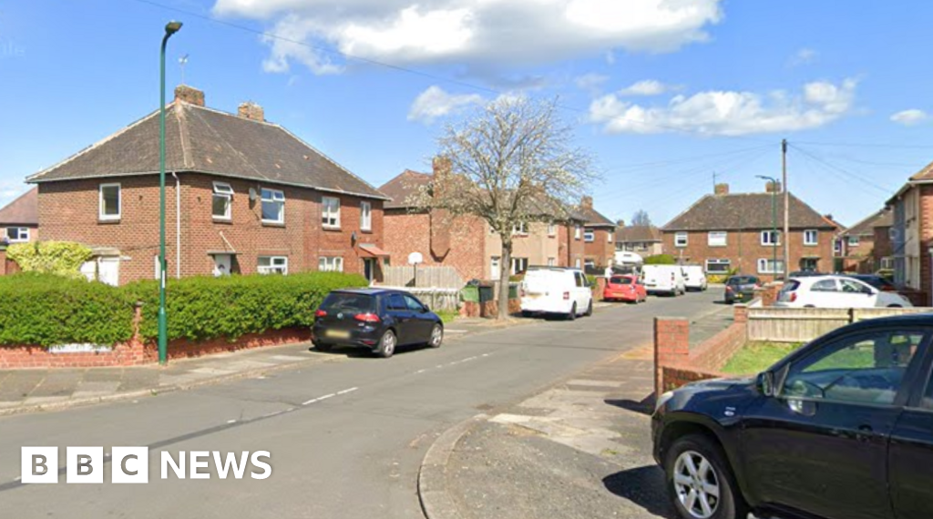 Child dies in dog attack, police say