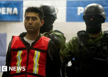 Co-founder of Jalisco New Generation drug cartel pleads guilty