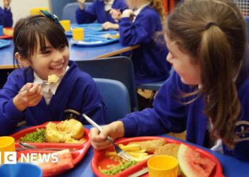 Deep-fried food banned in new plans for school dinners
