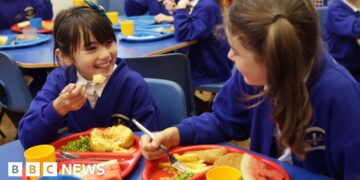 Deep-fried food banned in new plans for school dinners