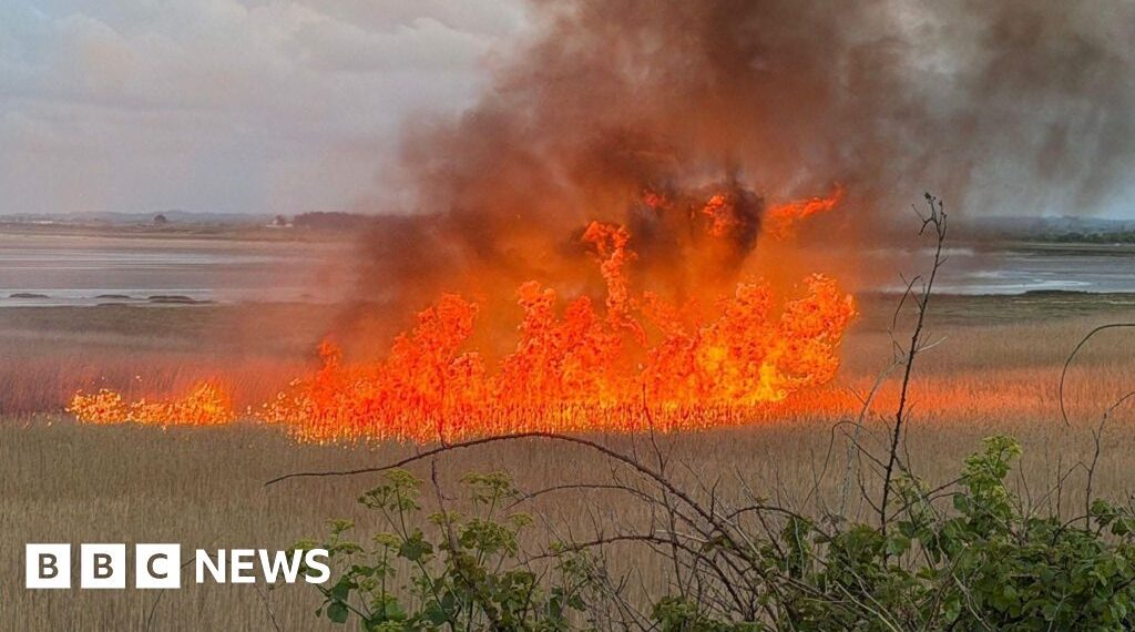 'Devastating' fire hits protected nesting site