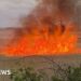 'Devastating' fire hits protected nesting site