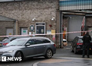 Dissident groups still have 'capacity and desire' to attack police, says NI justice minister