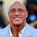 Dwayne Johnson film Fighting With My Family to be made into stage musical