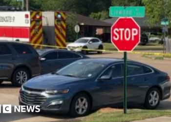 Eight children killed in Louisiana shooting, police say